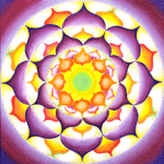 Purple Flower